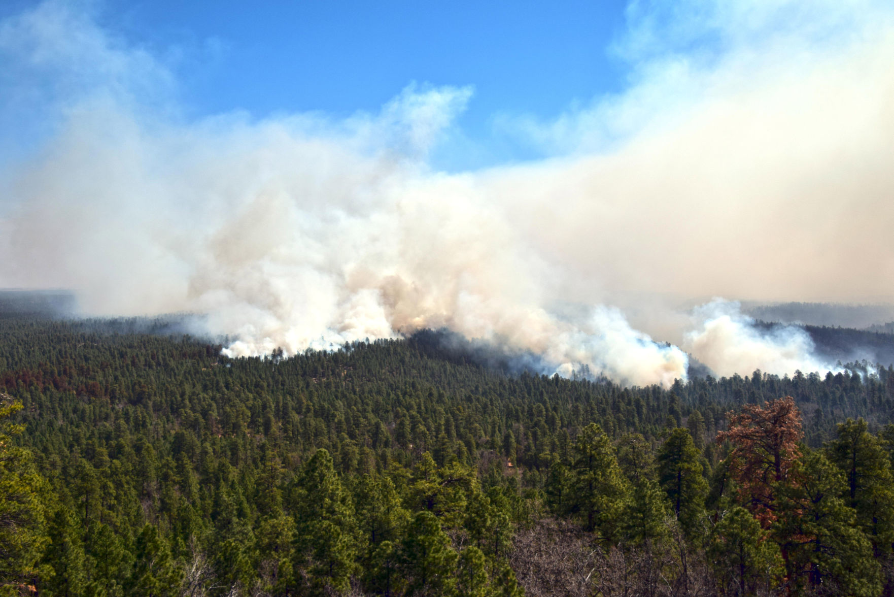 Tinder Fire
